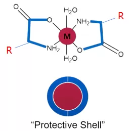 protective shell protective shell